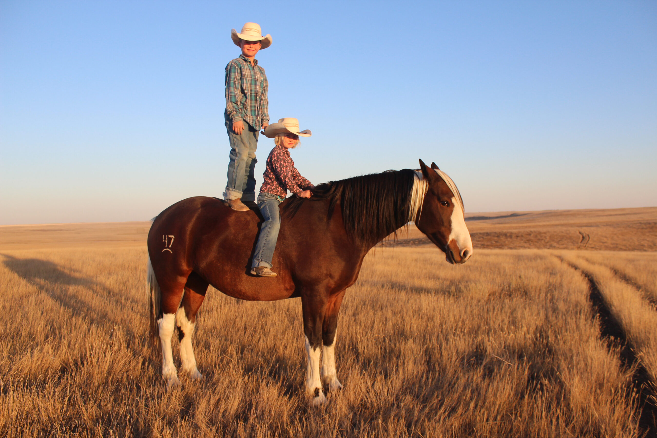 C67F6B0E-AF3E-45C9-811F-F3EAC57124B8