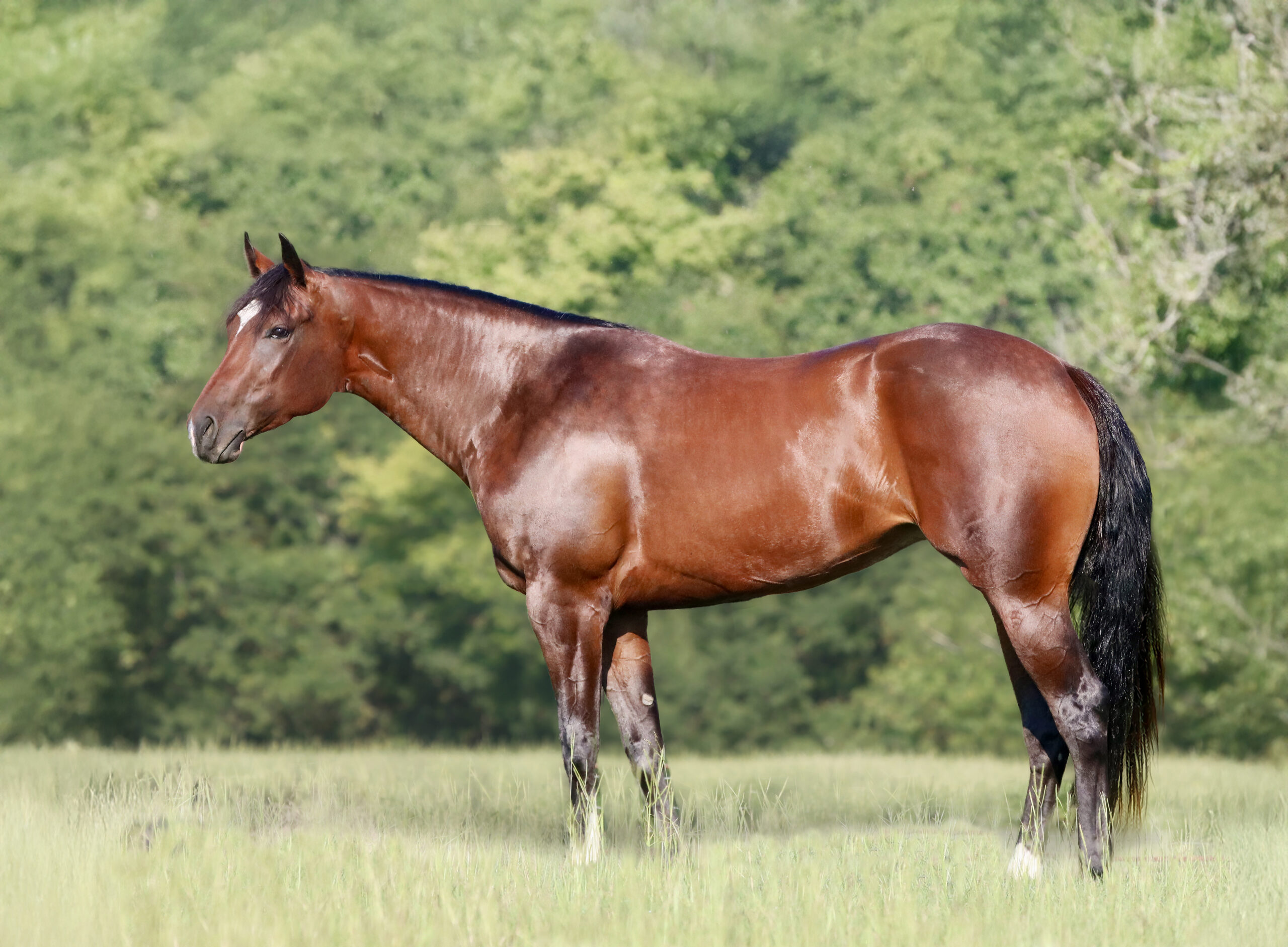 TCPhoto Aug 21 2025, 9 50 08 PM